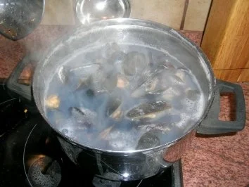 Skrei (der Vielschwimmer) an Fenchel-Muschelragout und Knoblauch Püree - Rezept - Bild Nr. 7