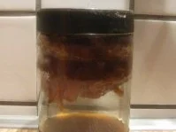 Rezept: Orangenschalen in Ingwersirup Orangenschalen in Ingwersirup - Rezept