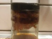 Rezept: Orangenschalen in Ingwersirup Orangenschalen in Ingwersirup - Rezept