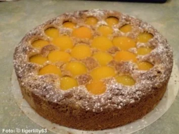 Schoko-Nusskuchen mit Aprikosen - Rezept