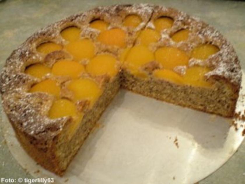 Schoko Nusskuchen mit Aprikosen - einfach - von tigerlilly63