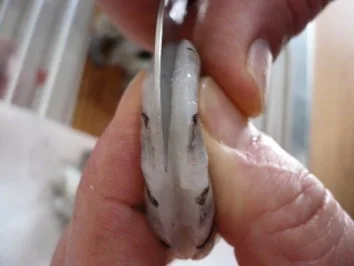 Rezept: Scharfe Garnelenpfanne Bild Nr. 3 Scharfe Garnelenpfanne - Rezept - Bild Nr. 3