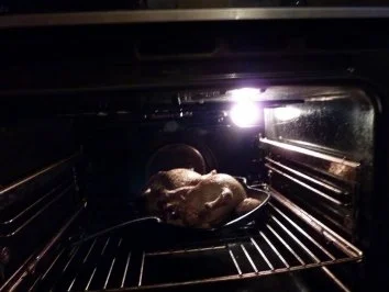 Rezept: Tauben mit Hackfleisch gefüllt Bild Nr. 2 Tauben mit Hackfleisch gefüllt - Rezept - Bild Nr. 2