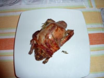 Tauben Gebraten Tauben Gebraten