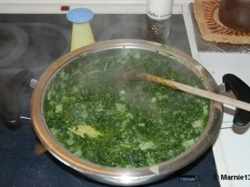 Grünkohltopf - Rezept - Bild Nr. 4