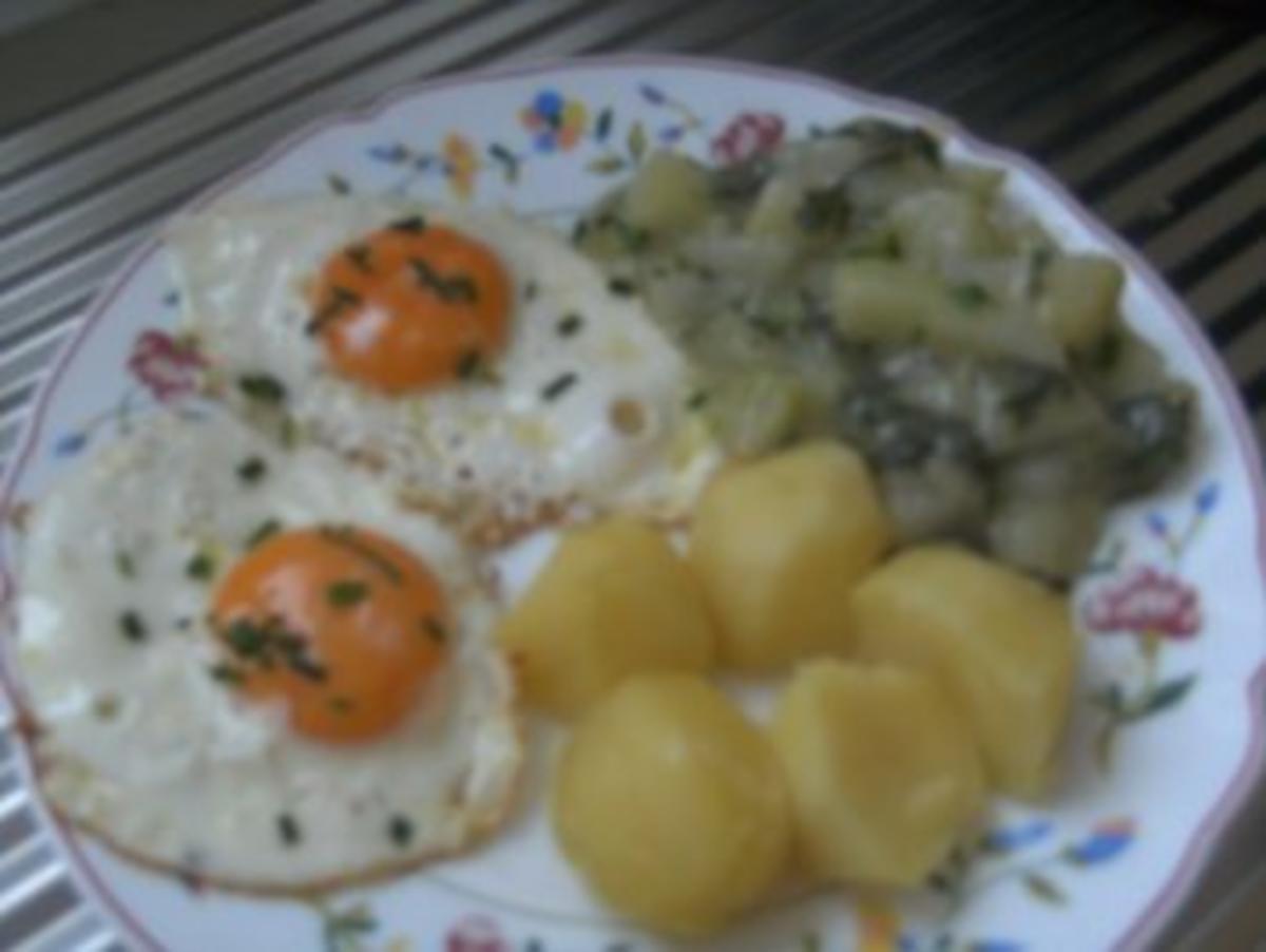 Kohlrabi-Gemüse mit Salzkartoffeln Spiegelei - Rezept - kochbar.de
