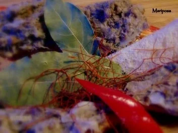 Rillettes selbstgemacht - Rezept - Bild Nr. 2