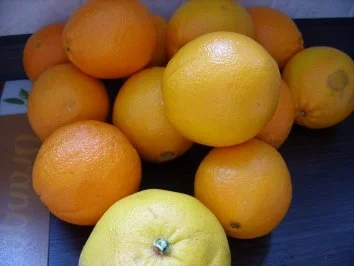 Konfitüre & Co:    Orange mit Grapefruit - Rezept - Bild Nr. 3