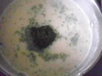 Rezept: Spätzle~Hackkäsebällchen~Frischkäsekräutersoße Bild Nr. 8 Spätzle~Hackkäsebällchen~Frischkäsekräutersoße - Rezept - Bild Nr. 8