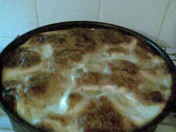 Rezept: gebackene Mango-Joghurt-Torte Bild Nr. 6 gebackene Mango-Joghurt-Torte - Rezept - Bild Nr. 6