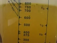 Linsen-Kokos-Chili-Suppe - Rezept - Bild Nr. 12