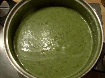 Rezept: Kräutersuppe "Bicolor" Bild Nr. 7 Kräutersuppe "Bicolor" - Rezept - Bild Nr. 7