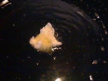 Quarkbällchen - Rezept - Bild Nr. 6