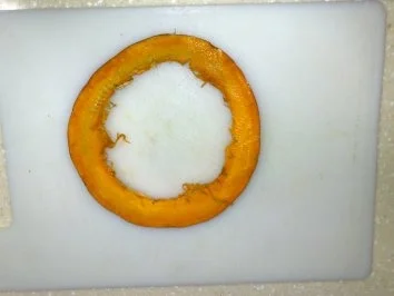 Campfire - Rezept - Bild Nr. 2