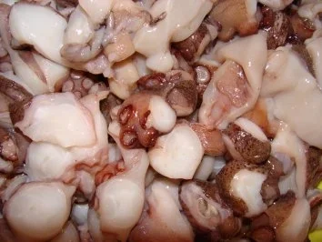 Rezept: Meeresfrüchte : -Octopusragout- Bild Nr. 3 Meeresfrüchte : -Octopusragout- - Rezept - Bild Nr. 3