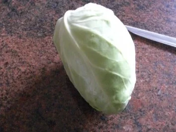 Salatbar:  SPITZKOHLSALAT - Rezept - Bild Nr. 2