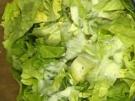 Kopfsalat mit Joghurtdressing und frittierter Petersilie - Rezept