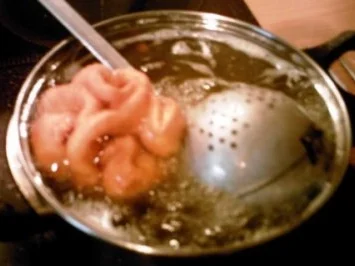 Rezept: Schneeball zum Faschingszeit Bild Nr. 4 Schneeball zum Faschingszeit - Rezept - Bild Nr. 4