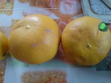 Rezept: Avocado-Grapefruit-Salat Bild Nr. 6 Avocado-Grapefruit-Salat - Rezept - Bild Nr. 6