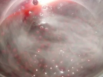 Hefeklöße mit Heidelbeeren - Rezept - Bild Nr. 3