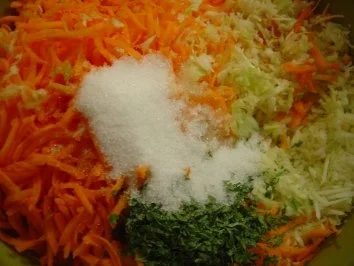 Rezept: Möhren-Weisskrautsalat Bild Nr. 2 Möhren-Weisskrautsalat - Rezept - Bild Nr. 2