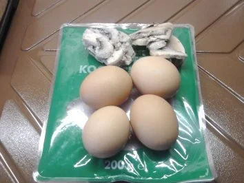 Überraschungseier - Rezept - Bild Nr. 2
