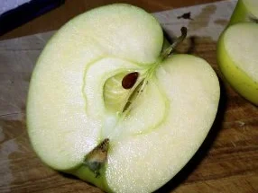 Gurken-Apfel-Salat mit Ingwer und Minze - Rezept - Bild Nr. 3