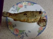 Forelle gegrillt - Rezept