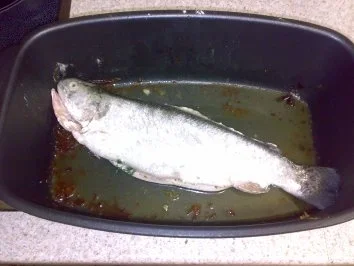 Forelle gegrillt - Rezept - Bild Nr. 3