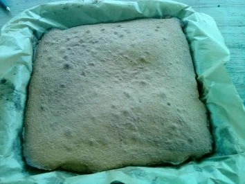 Rezept: Nuss-Sahneschnitten Bild Nr. 2 Nuss-Sahneschnitten - Rezept - Bild Nr. 2