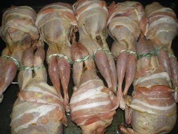 Rezept: gefüllte Wachteln Bild Nr. 2 gefüllte Wachteln - Rezept - Bild Nr. 2