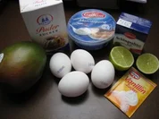Selbsgemachte Mango - Eis - Rezept