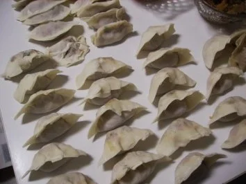 Jiao Zi - 饺子 - Rezept - Bild Nr. 2