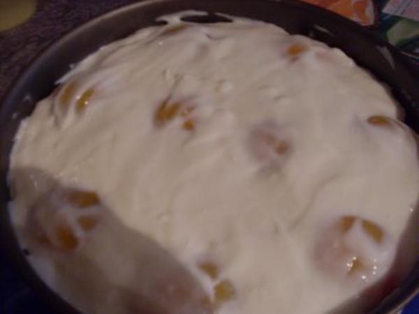 Pfirsich Creme Torte - schnell &amp; einfach - 171 kcal/100g