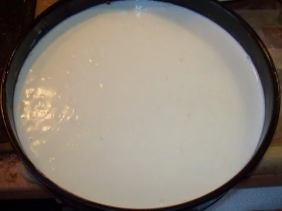 Limoncello-Quark-Torte mit Hallorenkugeln - Rezept - Bild Nr. 3