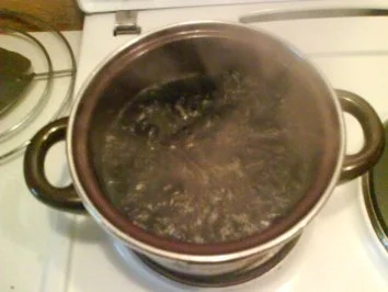 Geflügel: Hähnchen-Rosenkohlspieße mit schwarzem Thailändischen Klebreis - Rezept - Bild Nr. 5