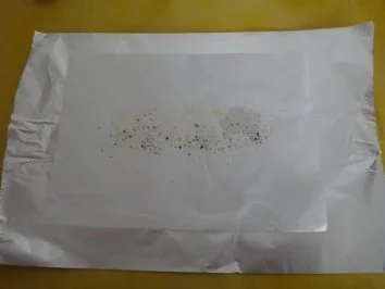 Fisch aus der Folie!! - Rezept - Bild Nr. 2