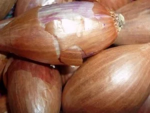 Oliven-Paprikacreme - Rezept - Bild Nr. 2