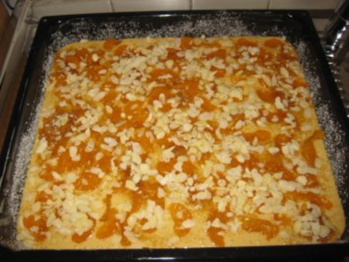 Mandarinen-Schmand-Blechkuchen - Rezept - kochbar.de