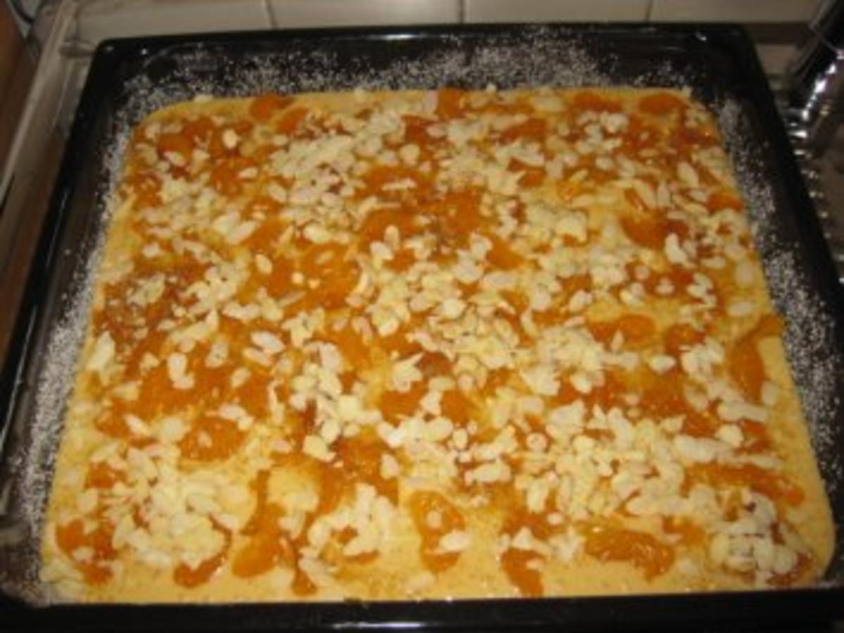 Mandarinen-Schmand-Blechkuchen - Rezept - kochbar.de