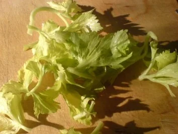 Kohlrüben-, Steckrüben- oder Wrukeneintopf - Rezept - Bild Nr. 14