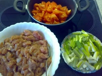 Putenbrust mit Frühlingszwiebeln - Rezept - Bild Nr. 2