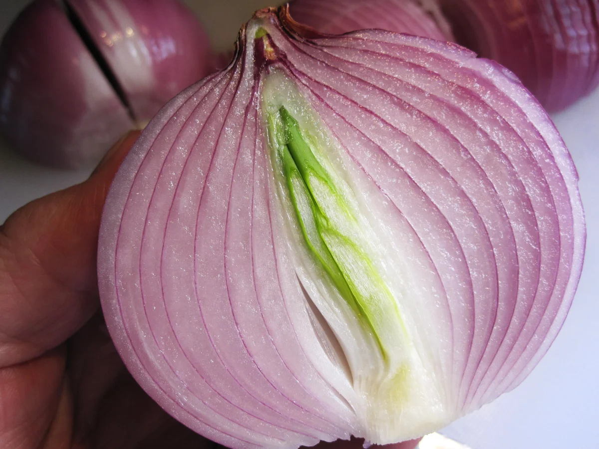 Rezept: Handkäs mit Musik - Erinnerung an Frankfurt Bild Nr. 3471 Handkäs mit Musik - Erinnerung an Frankfurt - Rezept - Bild Nr. 3471