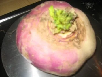 Bayr. Schmankerl: Rübenkraut Topf - Rezept - Bild Nr. 7