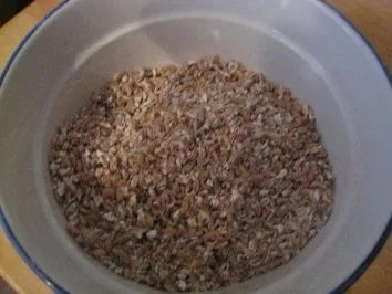 Getreide - Gemüseauflauf auf Tomatenconfit - Rezept - Bild Nr. 4