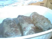 Rouladen mit Apfel-Meerrettich - Rezept