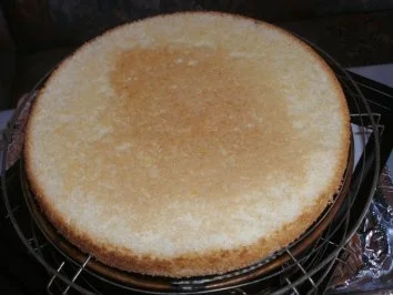 Orangen-Kuppeltorte - Rezept - Bild Nr. 3