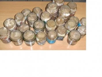 Wursten: Schweinefleisch im Glas - Rezept - Bild Nr. 2