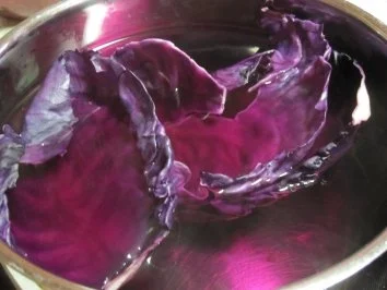 Rezept: Rotkohlrouladen.... 1 Jahr Kochbar, das muss gefeiert werden! Bild Nr. 3 Rotkohlrouladen.... 1 Jahr Kochbar, das muss gefeiert werden! - Rezept - Bild Nr. 3