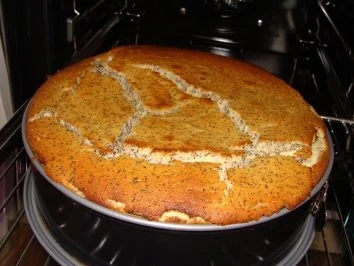 Käse-Mohn-Torte - Rezept